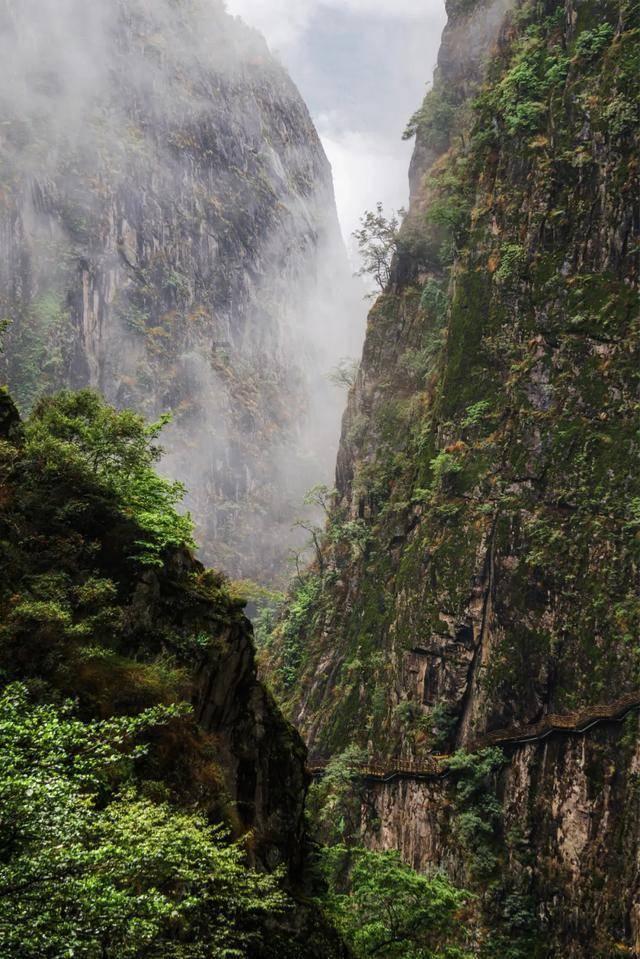 虫虫助手下载